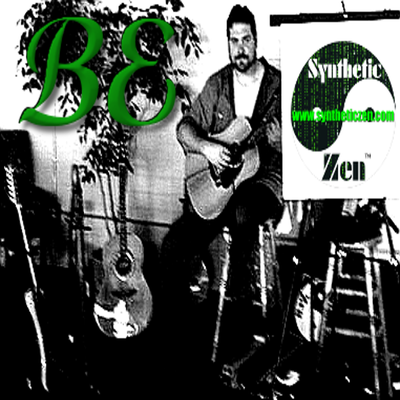 Synthetic Zen Be Album Cover Petit Chat 2012 06 02 20140319a bw green 1024X1024x300 square
